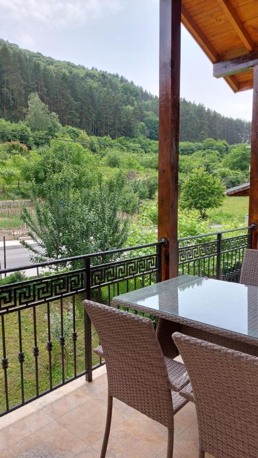 Forest Apartment Сапарева Баня Екстер'єр фото