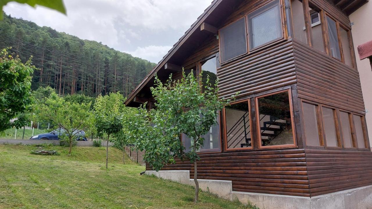 Forest Apartment Сапарева Баня Екстер'єр фото