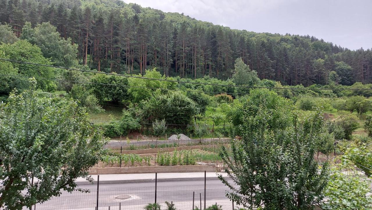 Forest Apartment Сапарева Баня Екстер'єр фото